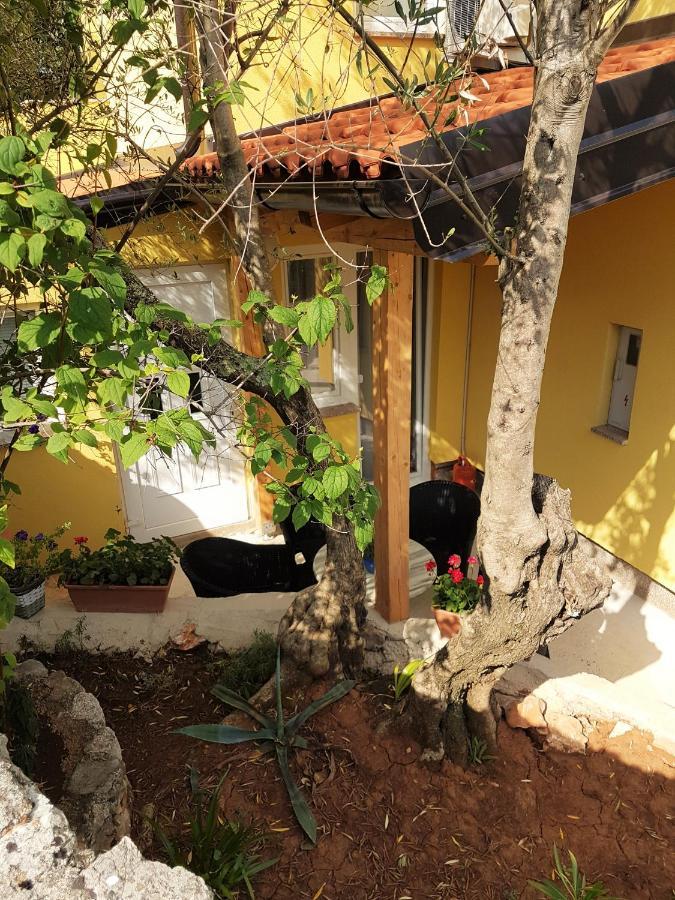 Apartmani Ljerka マリンスカ エクステリア 写真