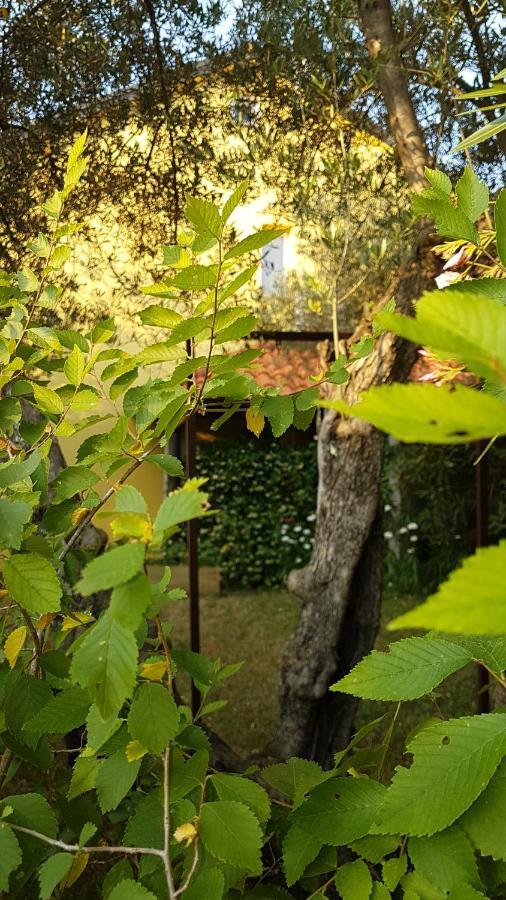 Apartmani Ljerka マリンスカ エクステリア 写真